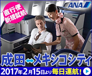 成田⇔メキシコシティ 直行便新規就航 ANAのバナーデザイン_300x250のバナーデザイン