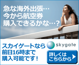 急な海外出張…今から航空券購入できるかな…？ skygate_300×250_1のバナーデザイン