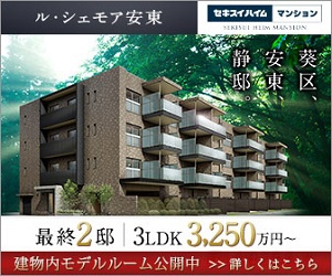 最終2邸 3LDK3,250万円〜 ル・シェモア安東_300x250_1のバナーデザイン