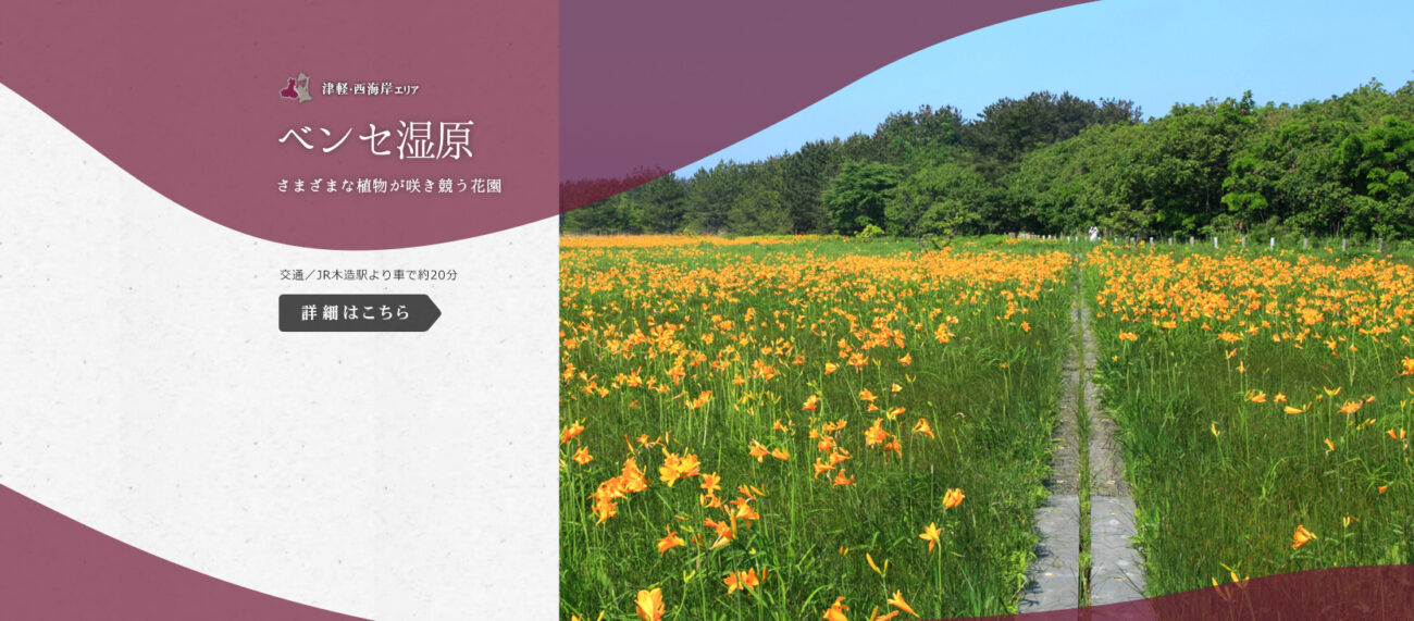 青森県観光情報サイト アプティネット_1600×730_5のバナーデザイン