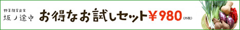 初回限定：お野菜お試しセット【坂ノ途中】_468 × 60のバナーデザイン