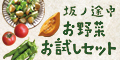 初回限定：お野菜お試しセット【坂ノ途中】_120 × 60のバナーデザイン