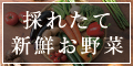 九州糸島産の採れたて新鮮お野菜【ベジタリアンベジタブル】_120×60のバナーデザイン