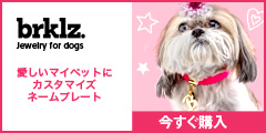 アメリカ発 愛犬用ジュエリー、カスタマイズネームプレート【brklz】_240×120のバナーデザイン