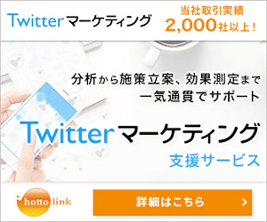 株式会社ホットリンク　Twitterマーケティング_300×250_1のバナーデザイン