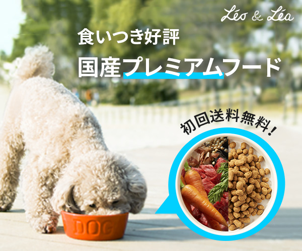 食いつき抜群！愛犬に最適なレシピでつくる国産ドッグフード【レオ＆レア】300x250のバナーデザイン