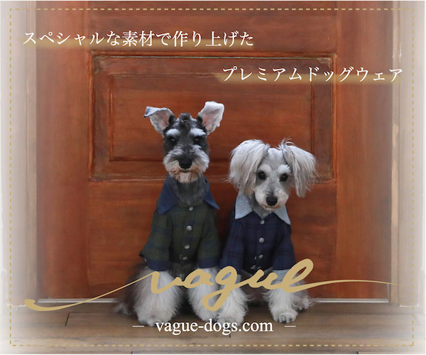 愛犬とペアルックで着用が出来るアイテムが豊富なドッグウェアブランドVague600x500_01のバナーデザイン