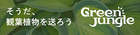 フラワーギフト通販のTOKYO華創庫＆観葉植物通販のGreenjungle_234x60_01のバナーデザイン