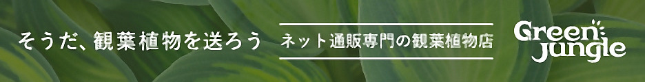 フラワーギフト通販のTOKYO華創庫＆観葉植物通販のGreenjungle_468x60_01のバナーデザイン