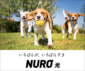 NURO光_300×250のバナーデザイン