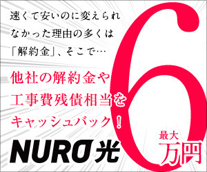 NURO光_NURO光_300×250のバナーデザイン