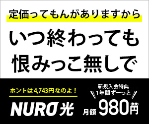 NURO光_いつ終わっても恨みっこ無しで_300 x 250のバナーデザイン