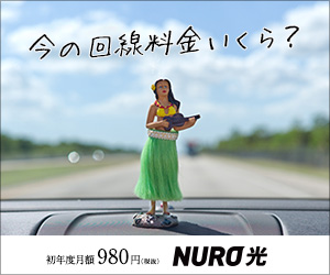 NURO光_Wi-Fi_300 x 250のバナーデザイン