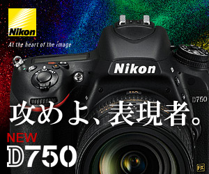 Nikon_攻めよ、表現者。_300×250のバナーデザイン