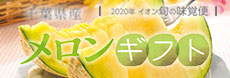 イオン_2020年イオン旬の味覚便_メロンギフト_230 x 78のバナーデザイン