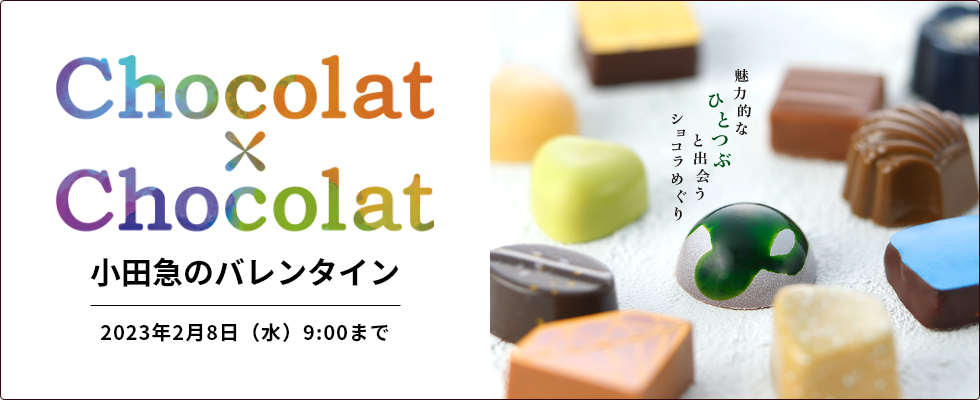小田急のバレンタイン_Chocolat×Chocolat_980 x 400のバナーデザイン