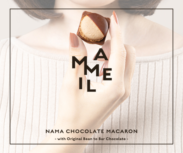 MAMEIL_NAMA_CHOCOLATE_MACARON_300 x 250のバナーデザイン